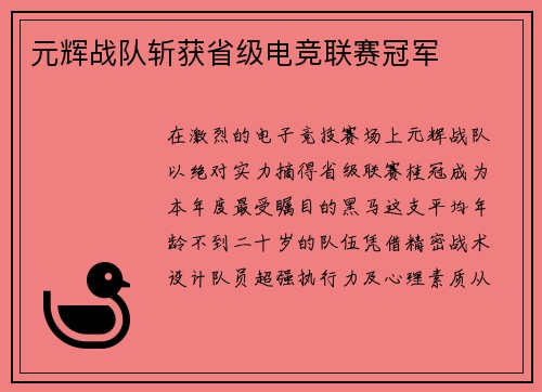 元辉战队斩获省级电竞联赛冠军